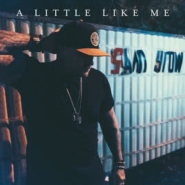Сэм Гроу представил новый альбом — A Little Like Me