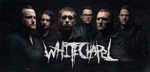 Превью Whitechapel "Hate Cult Ritual"
